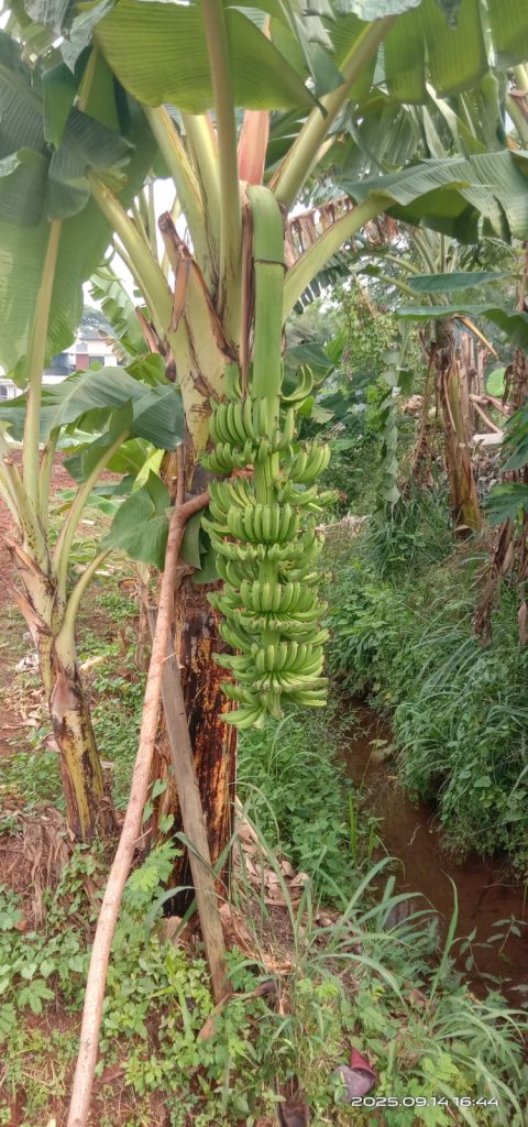 WhatsApp-Image-2025-09-25-at-09.07.44