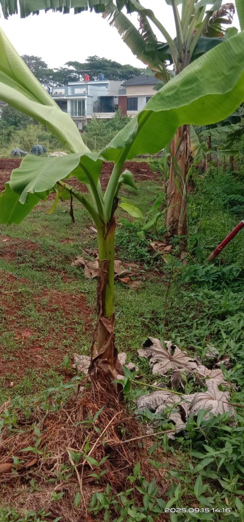 WhatsApp-Image-2025-09-25-at-09.07.45-2