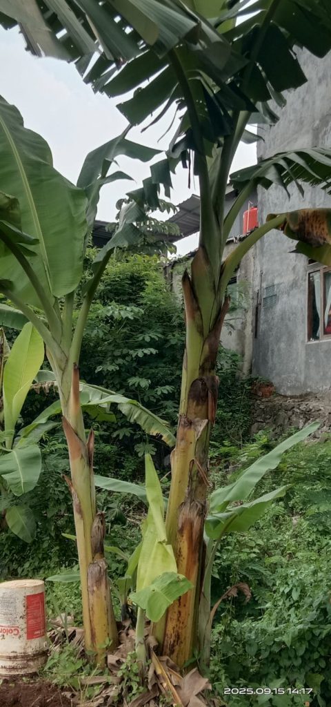 WhatsApp-Image-2025-09-25-at-09.07.46-1