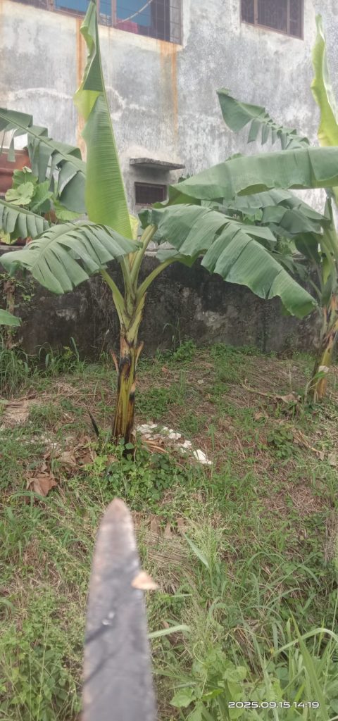 WhatsApp-Image-2025-09-25-at-09.07.46-2